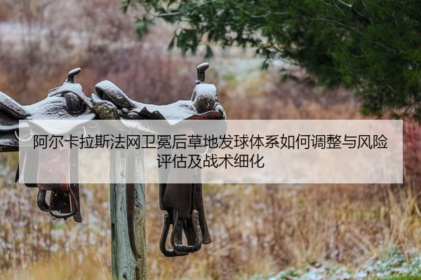 a-er-ka-la-si-fa-wang-wei-mian-hou-cao-di-fa-qiu-ti-xi-ru-he-tiao-zheng-yu-feng-xian-ping-gu-ji-zhan-shu-xi-hua-1-280.jpg