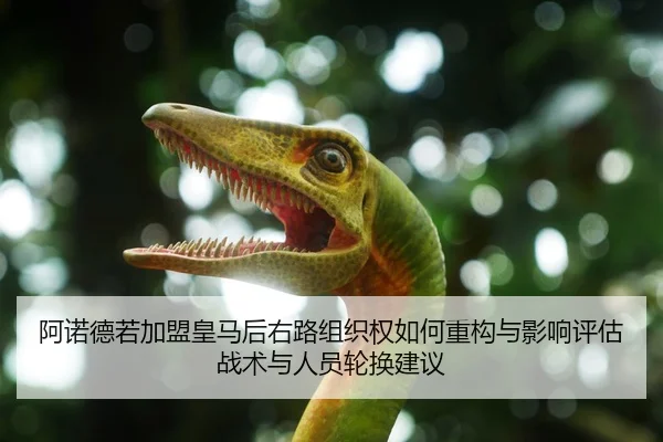 阿诺德若加盟皇马后右路组织权如何重构与影响评估战术与人员轮换建议