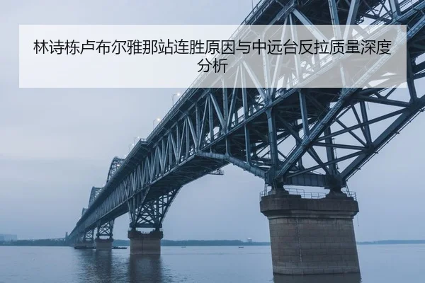 lin-shi-dong-lu-bu-er-ya-na-zhan-lian-sheng-yuan-yin-yu-zhong-yuan-tai-fan-la-zhi-liang-shen-du-fen-xi-2-238.jpg